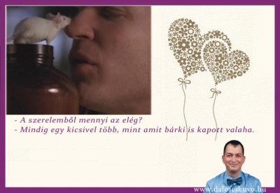 filmidezetek-eskuvoi-meghivora-viragot-algernonak